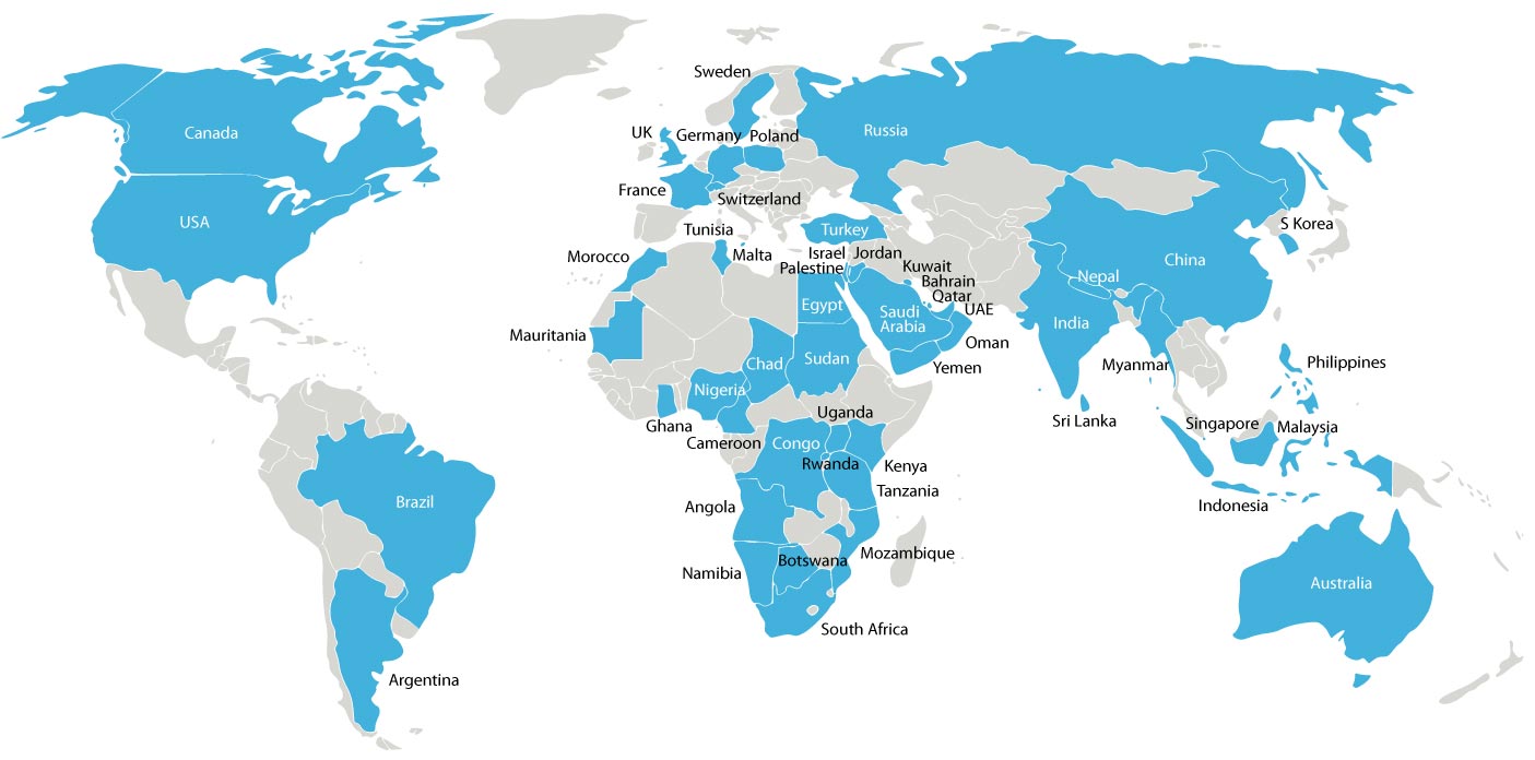 Global Network of Experts